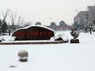 校园雪景